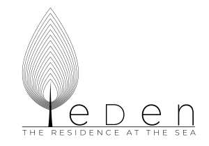 eden transparant black